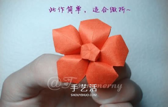 手工五星花的折法图解 还可以做成花型收纳盒 -  www.shouyihuo.com