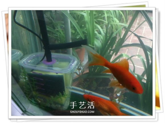 自制鱼缸过滤器的方法 几块钱就能完成很实用！ -  www.shouyihuo.com