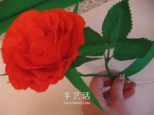 皱纹纸做花：漂亮纸玫瑰花的制作方法图解 -  www.shouyihuo.com