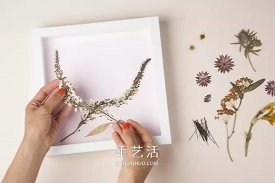 用押花留住春天的美！干花做法及押花装饰画DIY -  www.shouyihuo.com