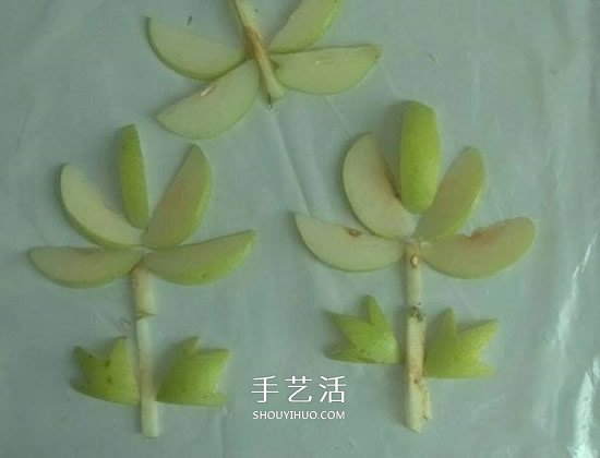 简单梨子手工 幼儿用水果拼画花朵的方法 -  www.shouyihuo.com