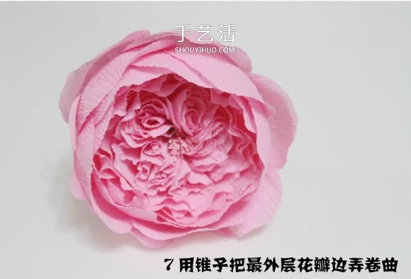 大卫奥斯汀玫瑰做法 美丽到极致的皱纹纸玫瑰 -  www.shouyihuo.com