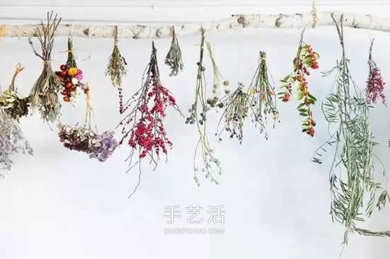 干花的四种制作方法 手工DIY绝美礼物饰品 -  www.shouyihuo.com