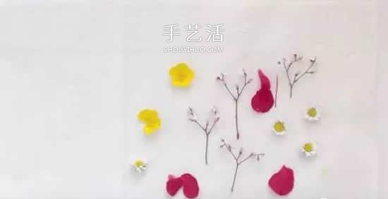 干花的四种制作方法 手工DIY绝美礼物饰品 -  www.shouyihuo.com