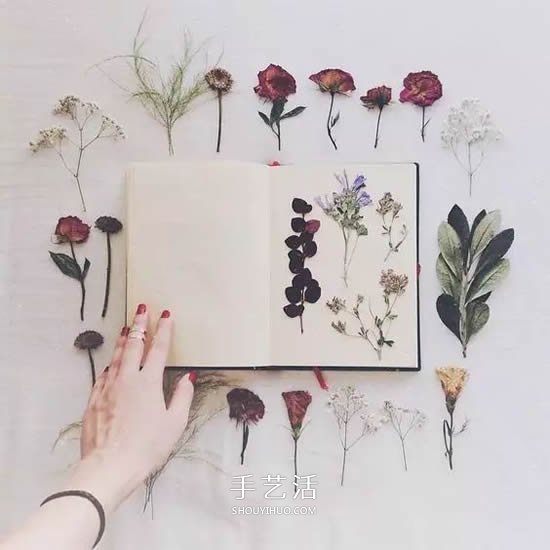 干花的四种制作方法 手工DIY绝美礼物饰品 -  www.shouyihuo.com
