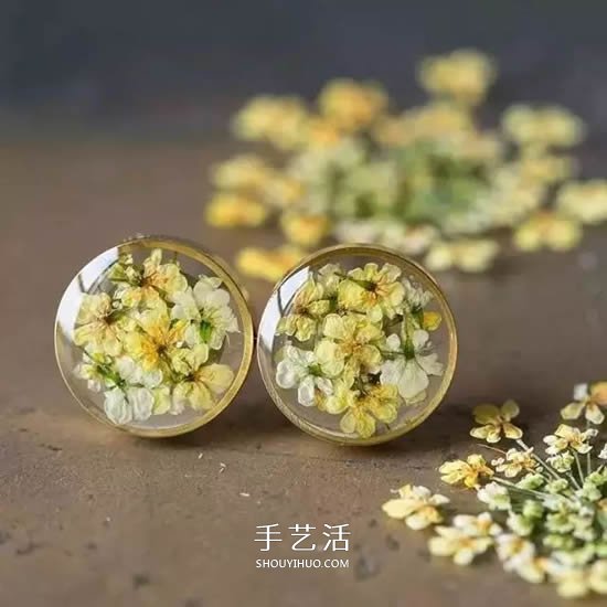干花的四种制作方法 手工DIY绝美礼物饰品 -  www.shouyihuo.com