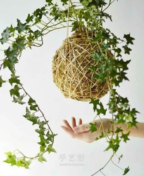 别浪费钱买花盆！用绳子就可以种出美丽多肉 -  www.shouyihuo.com