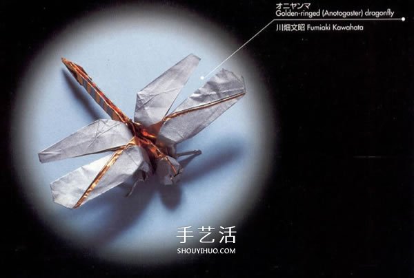 手工折纸逼真蜻蜓图解 怎么做纸蜻蜓的折法 -  www.shouyihuo.com