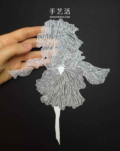 大师级平面纸雕作品大全 让A4纸价值翻万倍！ -  www.shouyihuo.com