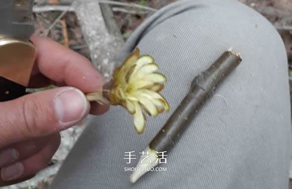简单手工树枝雕刻做花的方法图解教程 -  www.shouyihuo.com