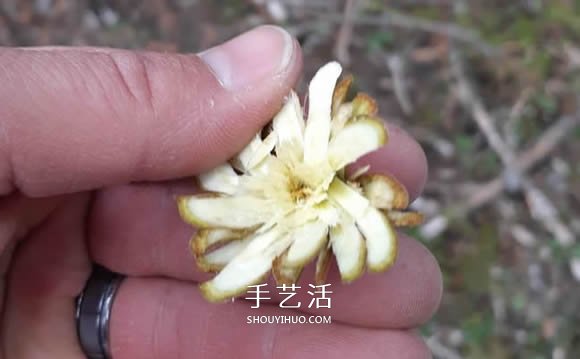 简单手工树枝雕刻做花的方法图解教程 -  www.shouyihuo.com