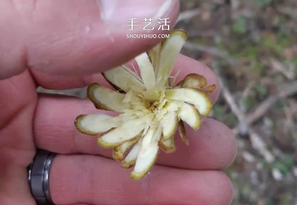 简单手工树枝雕刻做花的方法图解教程 -  www.shouyihuo.com