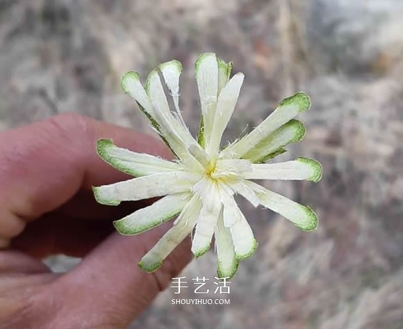 简单手工树枝雕刻做花的方法图解教程 -  www.shouyihuo.com