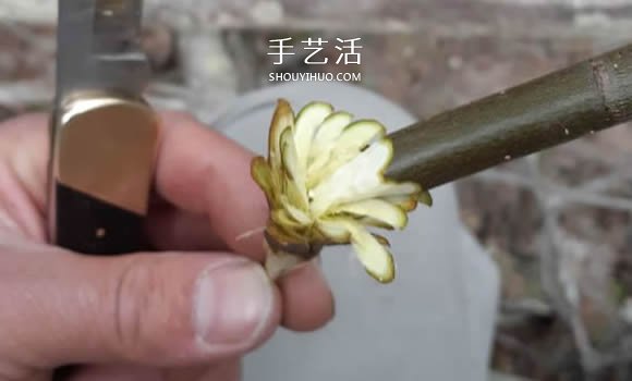 简单手工树枝雕刻做花的方法图解教程 -  www.shouyihuo.com