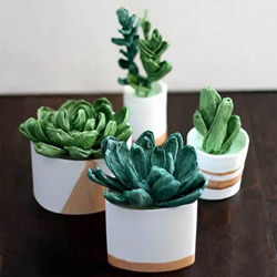 多肉植物 Diy手工制作大全 手艺活网