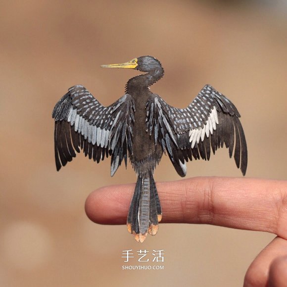 365天的坚持！剪纸出微型相思鸟、黄鹂…… -  www.shouyihuo.com