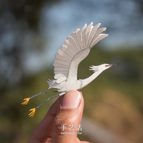 365天的坚持！剪纸出微型相思鸟、黄鹂…… -  www.shouyihuo.com