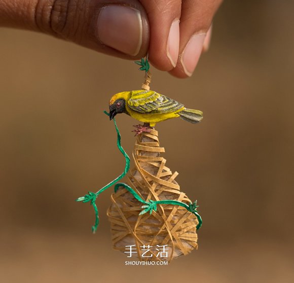 365天的坚持！剪纸出微型相思鸟、黄鹂…… -  www.shouyihuo.com