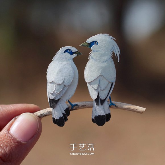 365天的坚持！剪纸出微型相思鸟、黄鹂…… -  www.shouyihuo.com