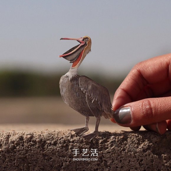 365天的坚持！剪纸出微型相思鸟、黄鹂…… -  www.shouyihuo.com