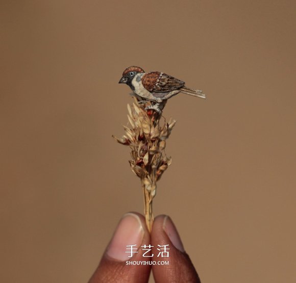 365天的坚持！剪纸出微型相思鸟、黄鹂…… -  www.shouyihuo.com
