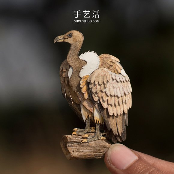 365天的坚持！剪纸出微型相思鸟、黄鹂…… -  www.shouyihuo.com