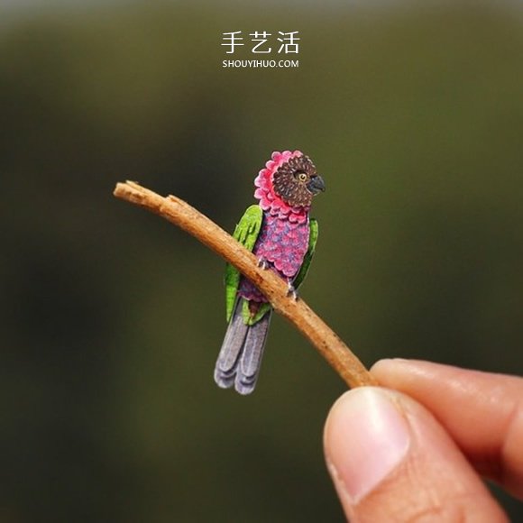 365天的坚持！剪纸出微型相思鸟、黄鹂…… -  www.shouyihuo.com