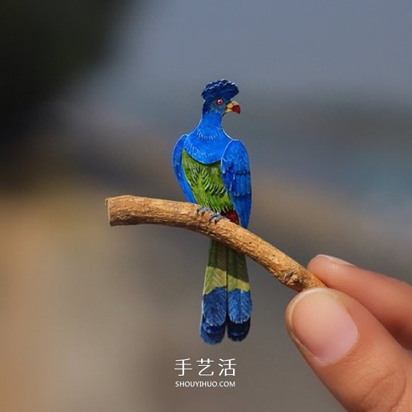 365天的坚持！剪纸出微型相思鸟、黄鹂…… -  www.shouyihuo.com
