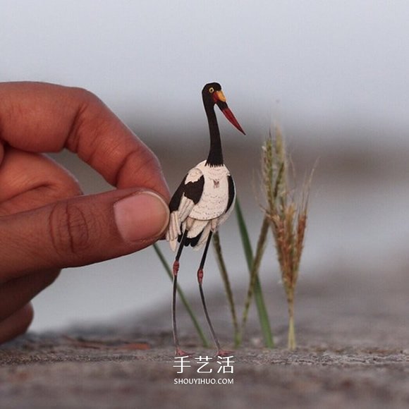 365天的坚持！剪纸出微型相思鸟、黄鹂…… -  www.shouyihuo.com