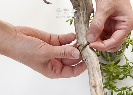 迷人的吊灯装饰！枯枝和玻璃罐的再利用DIY -  www.shouyihuo.com