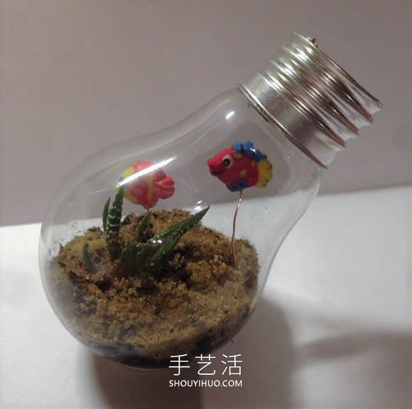 超详细灯泡改造教程 自制一个漂亮微景观！ -  www.shouyihuo.com