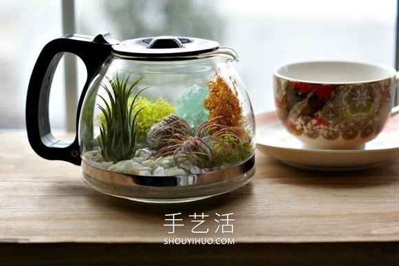 旧咖啡壶改造 DIY制作空气植物盆景的方法 -  www.shouyihuo.com