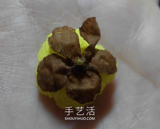 皱纹纸手工制作简单腊梅花的做法教程 -  www.shouyihuo.com