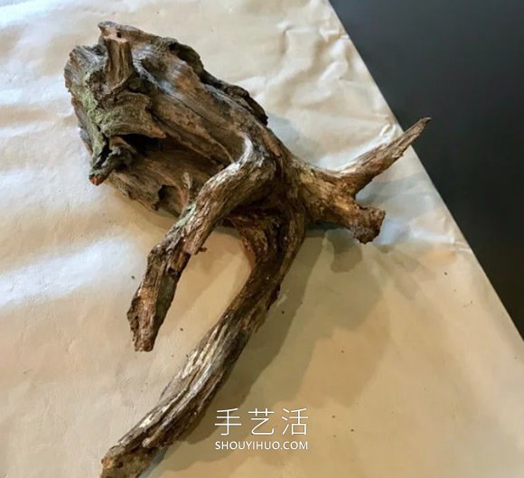 捡回雪松树干当花盆 DIY制作多肉盆景的方法 -  www.shouyihuo.com