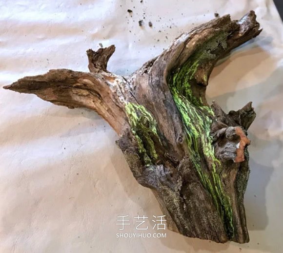 捡回雪松树干当花盆 DIY制作多肉盆景的方法 -  www.shouyihuo.com