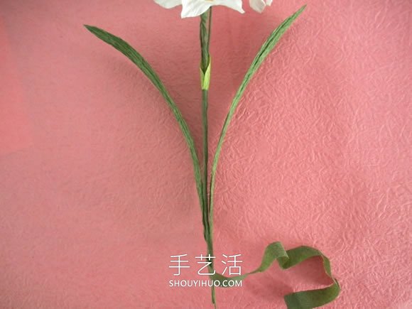 简单自制皱纹纸水仙花的方法图解教程 -  www.shouyihuo.com