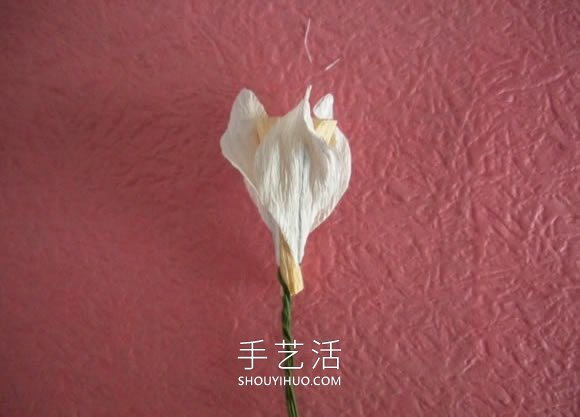 简单自制皱纹纸水仙花的方法图解教程 -  www.shouyihuo.com