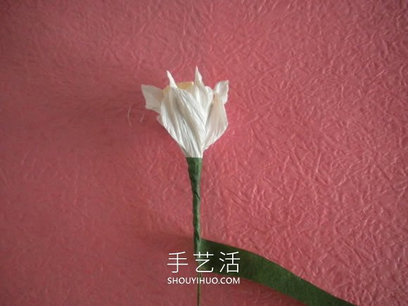 简单自制皱纹纸水仙花的方法图解教程 -  www.shouyihuo.com