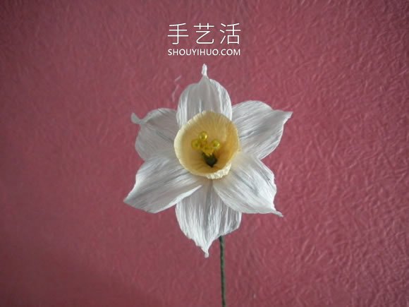 简单自制皱纹纸水仙花的方法图解教程 -  www.shouyihuo.com