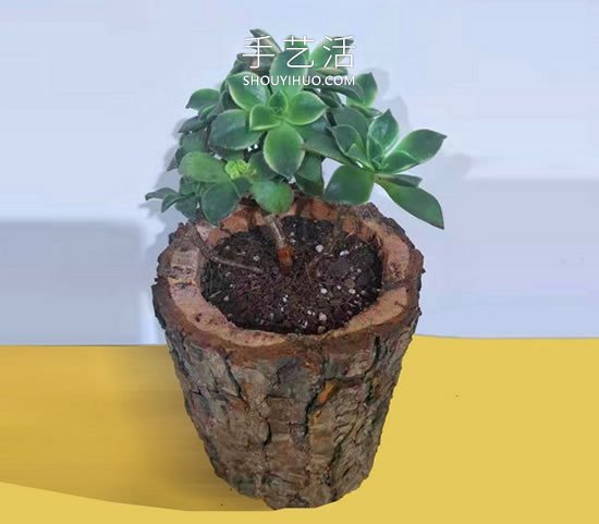 自制木桩花盆的简单方法图解教程