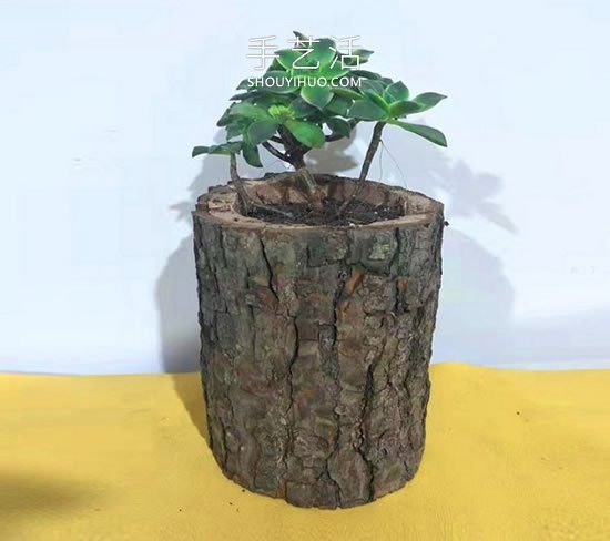 自制木桩花盆的简单方法图解教程