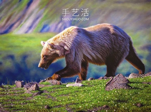 仿佛会跃出画布！逼真画作捕捉野生动物之美 -  www.shouyihuo.com