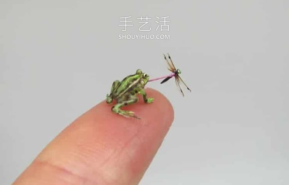 超逼真微型动物雕像，足以放在您的指尖！ -  www.shouyihuo.com