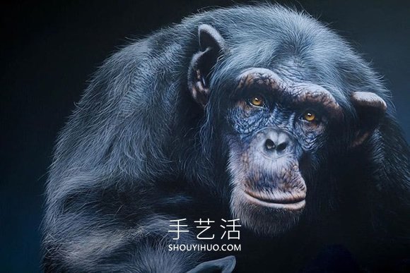 超写实的油画，捕捉野生动物的野性自然之美 - www.shouyihuo.com